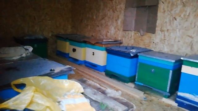 Зимовка пчёл-улица или омшаник что же лучше? смотреть онлайн