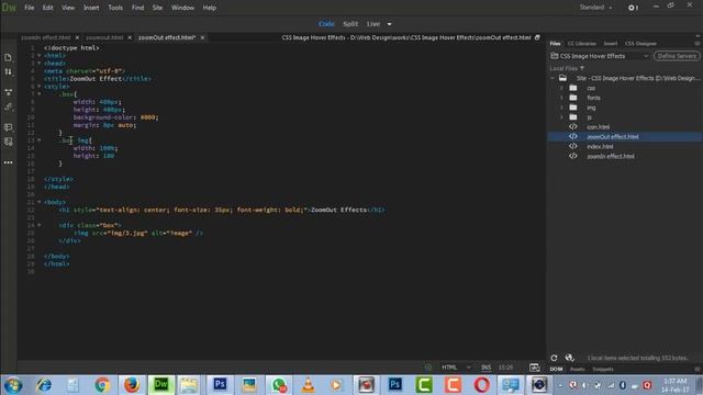 2-ZoomOut Hover Effects Using CSS  Property In Hindi