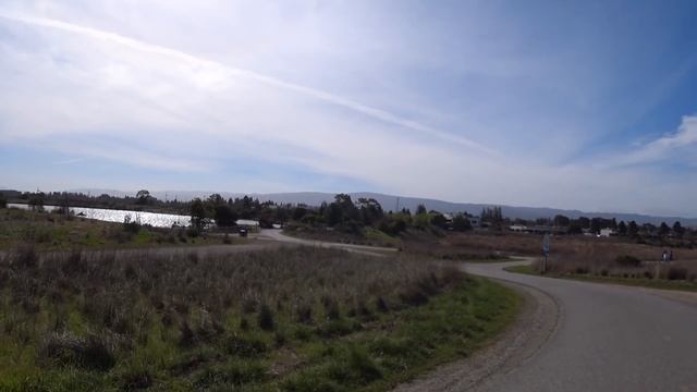 У Лукоморья - под окном у Гугла творится такое.... смотреть онлайн