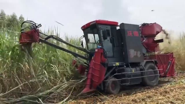 Sugarcane harvester season promotion смотреть онлайн