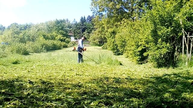 STIL FS450 смотреть онлайн