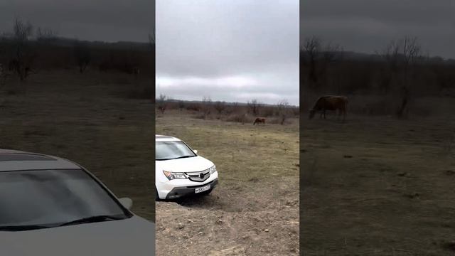 Полный привод ACURA MDX 2 Акура мдх2 смотреть онлайн