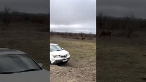 Полный привод ACURA MDX 2 Акура мдх2