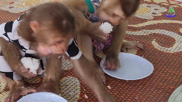 Sam boy's family eats a frugal meal смотреть онлайн