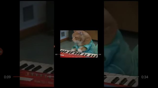 Реакция . Коты играют на пианино 1 кот vs 2 кота смотреть онлайн