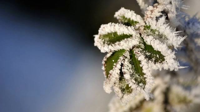 Mieczyslaw Weinberg Symphony 21 (1991)