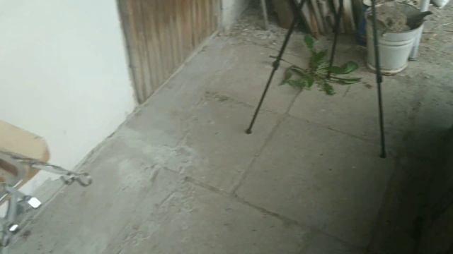 15 советов идеального шашлыка от бывалого шашлычника.#шашлык #AleksДежурныйПоКухне смотреть онлайн