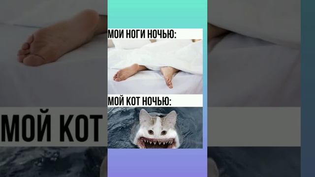 5 мемасиков или МЕМЫ ЕСТЬ МЕМЫ #1 Почему 1? Будет ещё #мемы #прикол #юмор #поржать смотреть онлайн