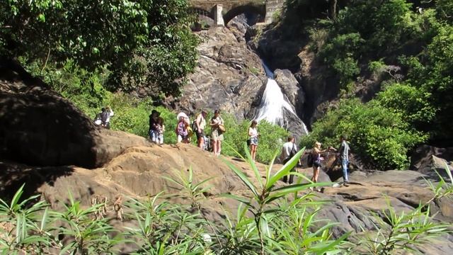Mollem National Park, Bondla WL Sanctuary , Goa. смотреть онлайн