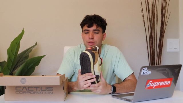 GOT EM! TRAVIS SCOTT AIR MAX 1 "BAROQUE BROWN" UNBOXING смотреть онлайн