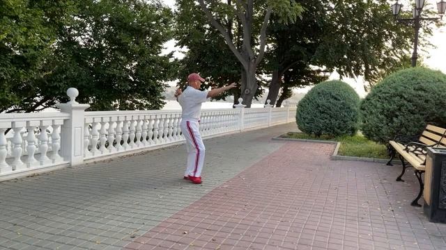 Ицюань / Yiquan (255 день). Фуань Чжуан Цзо-Ю / Махи руками / Водоворот / Гуньфа / Дубинки смотреть онлайн