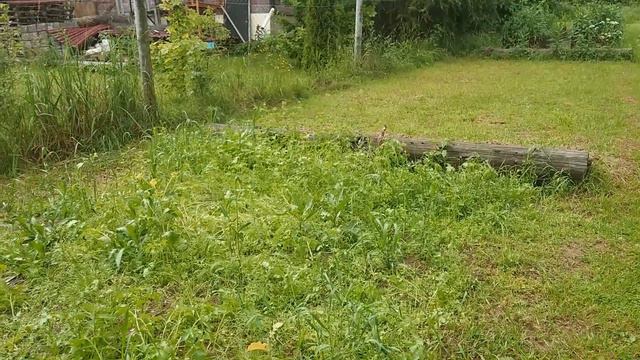 Июнь - дела садовые № 5 смотреть онлайн