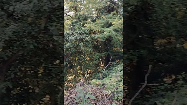 БЕСПЛАТНОЕ ЖИЛЬЁ на Черном море круглый год! Подпишись, впереди много классных обзоров!!! смотреть онлайн