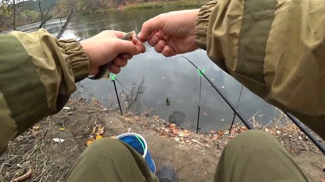 Рыбалка на Северском Донце.Новые места для рыбалки. смотреть онлайн