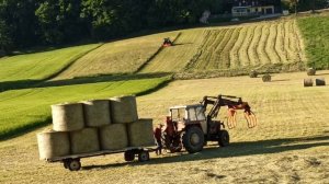 Сельхозработы Австрия. Как работают австрийские фермеры.