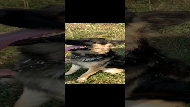 Настоящий друг монтажника натяжных потолков смотреть онлайн