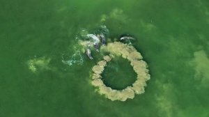 ᛖᚴᛃⰓᛁᛕᚤ ᛜᛕᛊᚤᚺᚤ