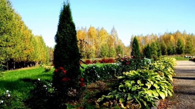 А.Дольский Осенняя песня смотреть онлайн