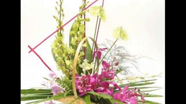 Какие бывают Орхидеи (Orchids)