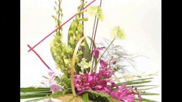 Какие бывают Орхидеи (Orchids)