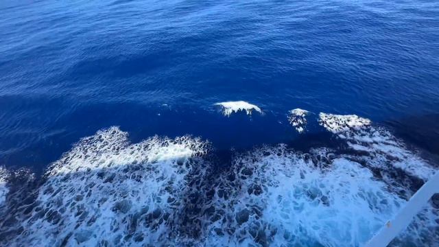 🔴 бегущая по ВОЛНАМ 🔴 на ОКНЕ океанского ЛАЙНЕРА весь ОКЕАН МОЙ круиз по Тихому океану 27.10.2023 смотреть онлайн