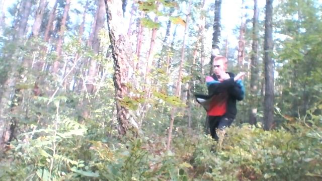 breaking a trunk of a tree (it was chopped in the top) by a kick смотреть онлайн