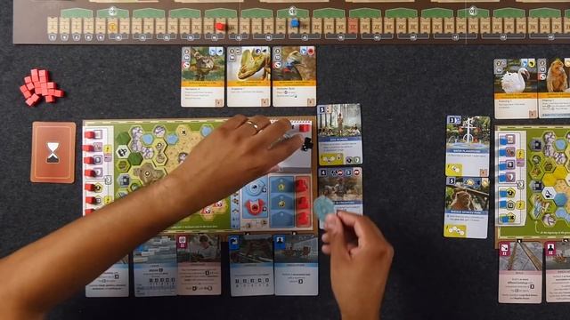 Ark Nova - Playthrough & Review смотреть онлайн