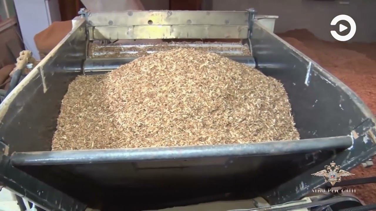 Почти три миллиона сигарет и больше восьми тонн контрафактного табака полицейские изъяли в Пензе смотреть онлайн