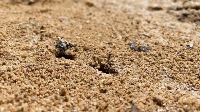 ЛЕГКО ЗА 7 ДНЕЙ достигнуть ДЕНЕЖНОГО БЛАГОПОЛУЧИЯ. Сильный ритуал на деньги, денежная практика смотреть онлайн