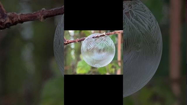 Frozen ice bubbles from regular bubble solution смотреть онлайн