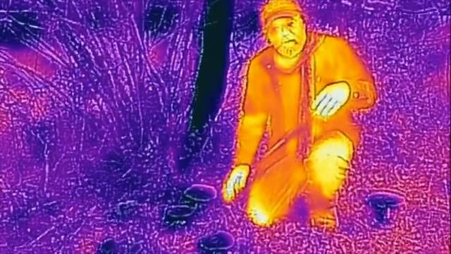 Thermal Amanita muscaria смотреть онлайн