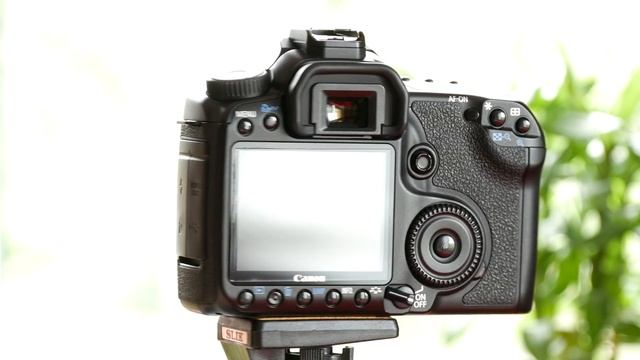 Canon EOS 40D (Body Only) - Overview in 4K смотреть онлайн
