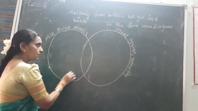Our food(4)/venn diagram representing the food we get from animals @6th class смотреть онлайн