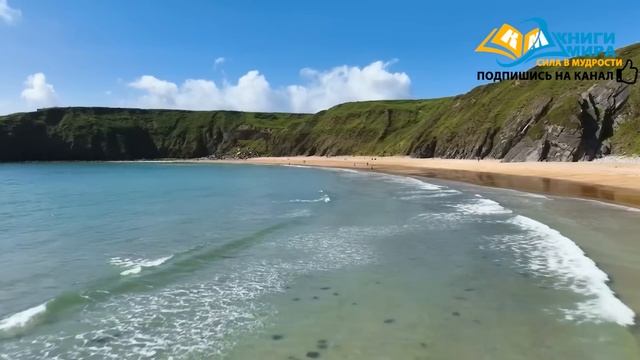 Полная Инструкция По Жизни На Планете Земля! l НИКОШО смотреть онлайн