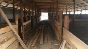 Дешёвый свинарник своими руками.