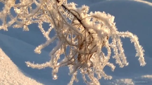 Наталья Нильская ЕДИНСТВЕННОМУ смотреть онлайн