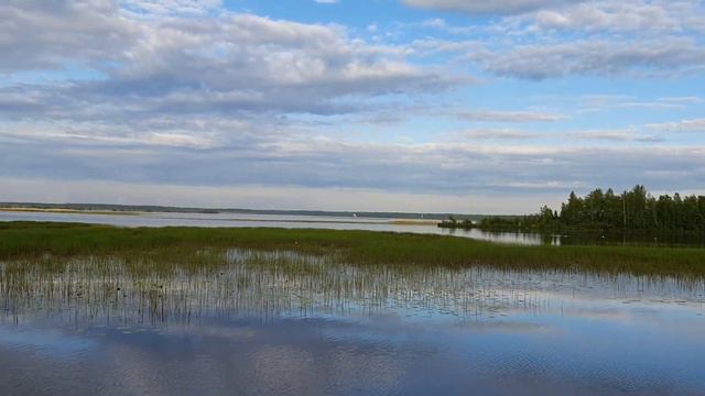 Необыкновенная воскресная прогулка по солнечному Сестрорецку. 7 июня 2020 года. В Питере тепло, ура смотреть онлайн