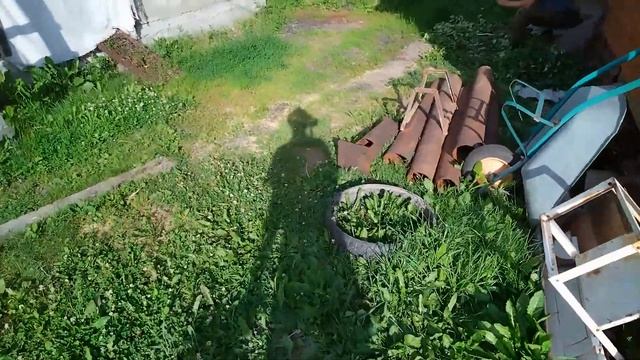 Заготовка березовых веников смотреть онлайн