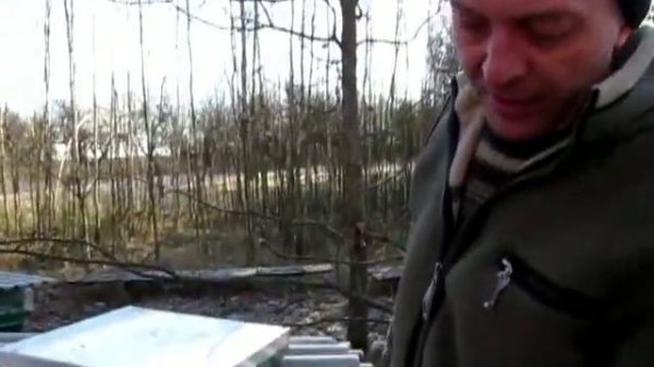 Быстрое увеличение пчелосемей. Два вида нуклеусов ( Two kinds of cores)