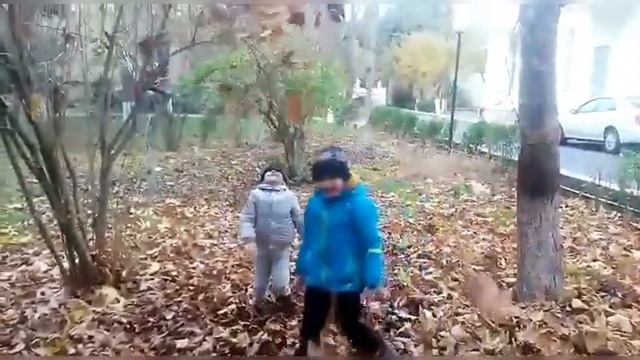 ПОЧЕМУ ДЕРЕВЬЯ СБРАСЫВАЮТ ЛИСТЬЯ? ВЫ НЕ ПОВЕРИТЕ! смотреть онлайн