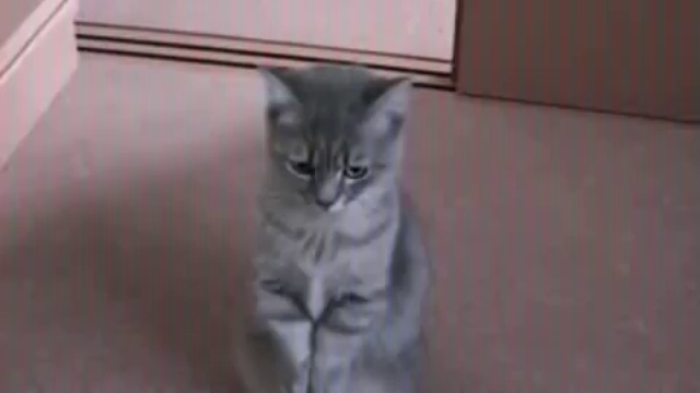 Молитва о еде смотреть онлайн
