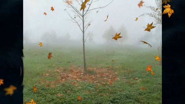 осень во всей красе смотреть онлайн