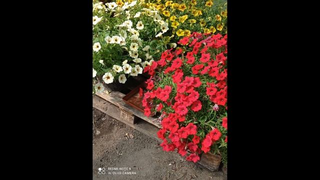 ТРИПС И КЛЕЩ. смотреть онлайн