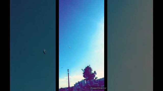 Вот только ты - нереальна, весь этот мир "фотошопа" 10 июля 2021 г. смотреть онлайн