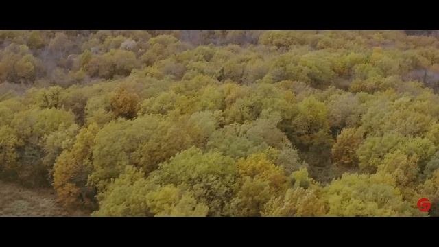 Introducing TA Gen2 Aquila Series, a new clip-on thermal imaging attachment смотреть онлайн