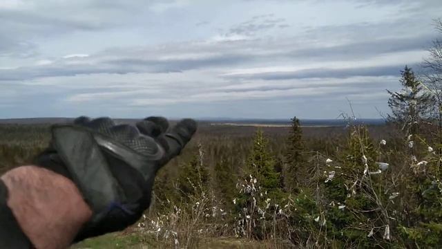 Хребет Басеги смотреть онлайн