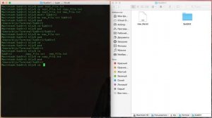 Работа с файлами и папками в Terminal