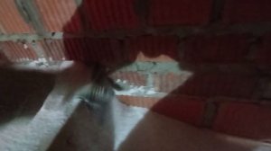 ПЕРЛИТ. Утепление чердачного перекрытия. Замеры тепловизором