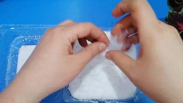 Посев мяты весной на рассаду. смотреть онлайн