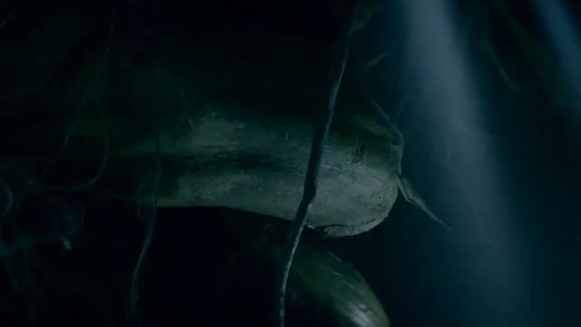 The shannara s01 episode 4 смотреть онлайн